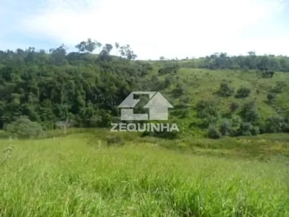 Sítio, 2 quartos, 19 hectares - Foto 3