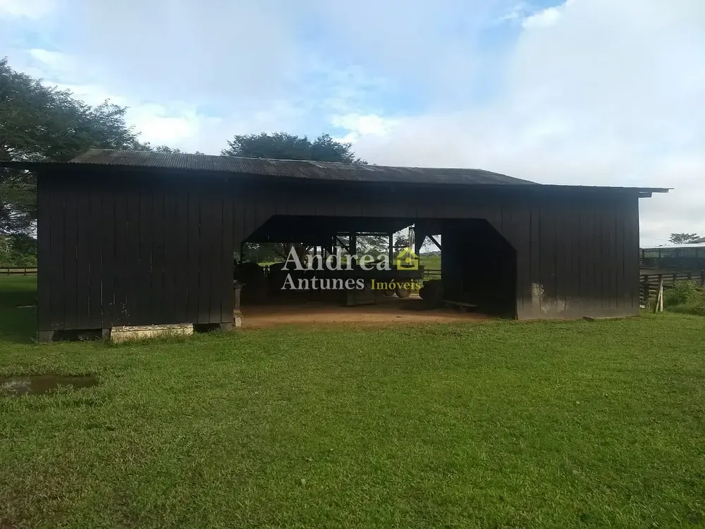 Fazenda, 9000 m² - Foto 2