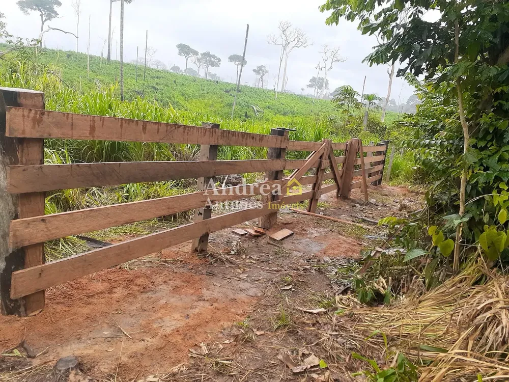 Fazenda, 9000 m² - Foto 4