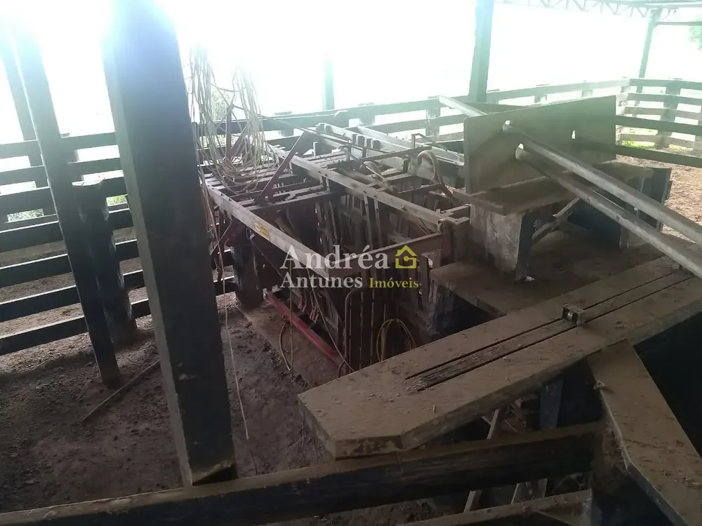 Fazenda, 9000 m² - Foto 3