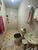 Casa, 3 quartos, 80 m² - Foto 5