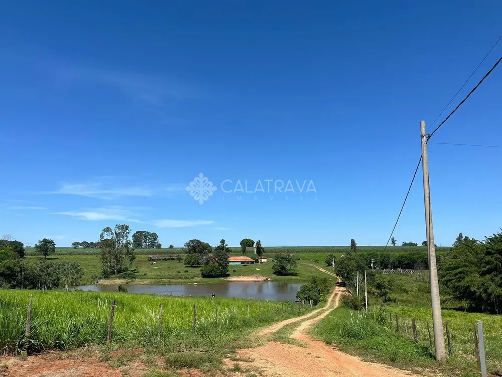 Sítio, 4 quartos, 13 hectares - Foto 3