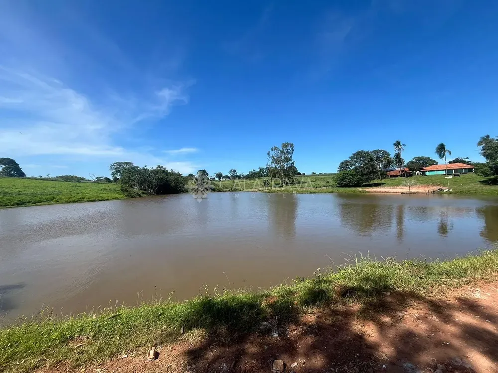Sítio, 4 quartos, 13 hectares - Foto 4