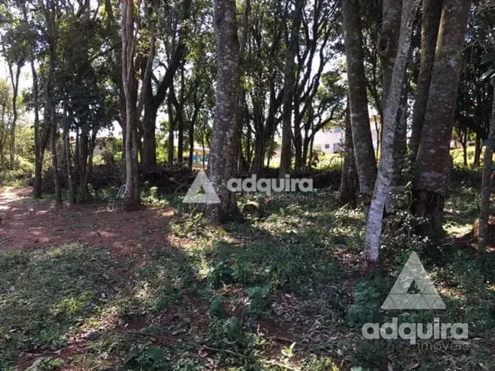 Terreno, 1716 m² - Foto 4