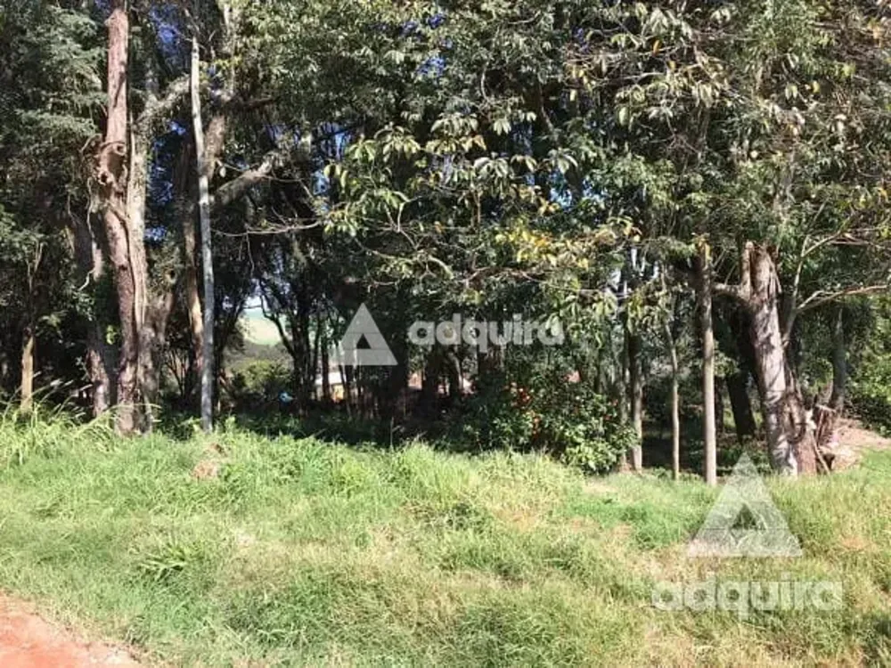 Terreno, 1716 m² - Foto 6