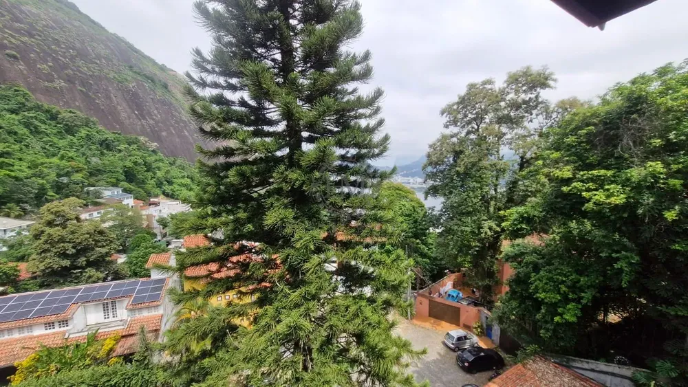 Casa, 6 quartos, 354 m² - Foto 55