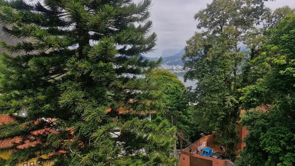 Casa, 6 quartos, 354 m² - Foto 117