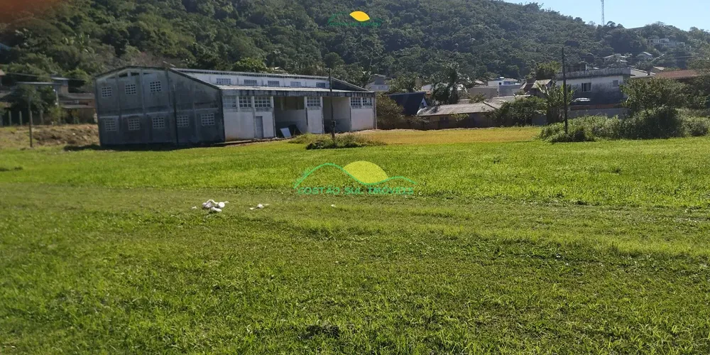 Terreno, 2 hectares - Foto 3