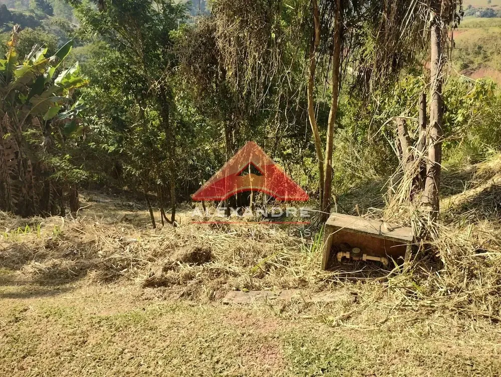 Terreno, 2505 m² - Foto 5