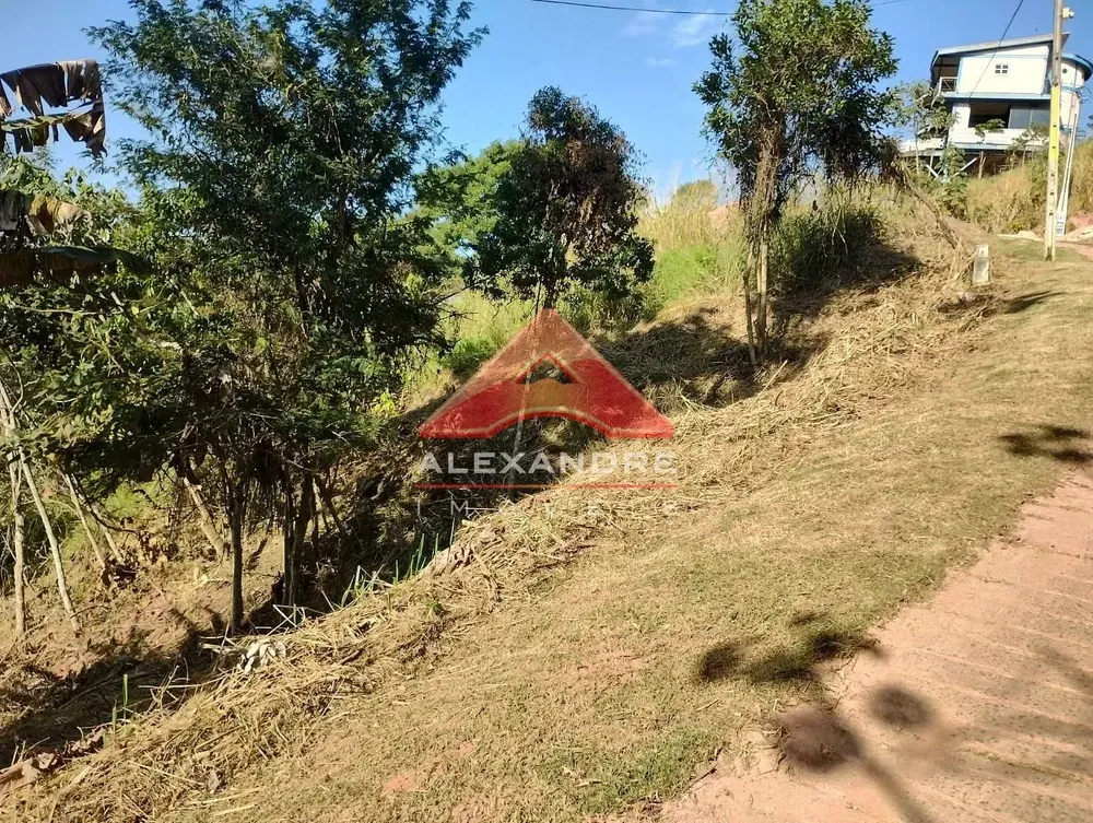 Terreno, 2505 m² - Foto 4