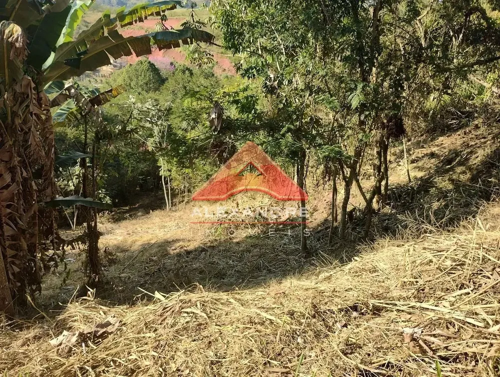 Terreno, 2505 m² - Foto 6