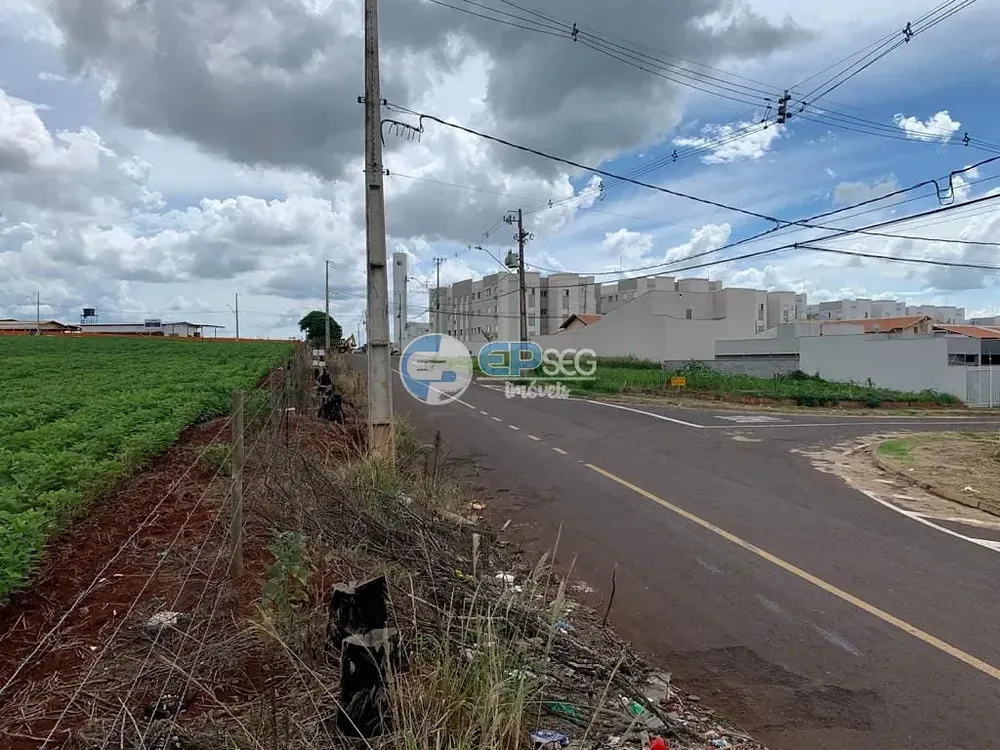 Terreno, 2 hectares - Foto 4
