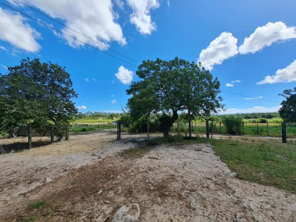 Fazenda, 10 m² - Foto 11