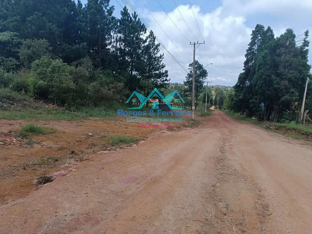 Terreno, 2500 m² - Foto 4