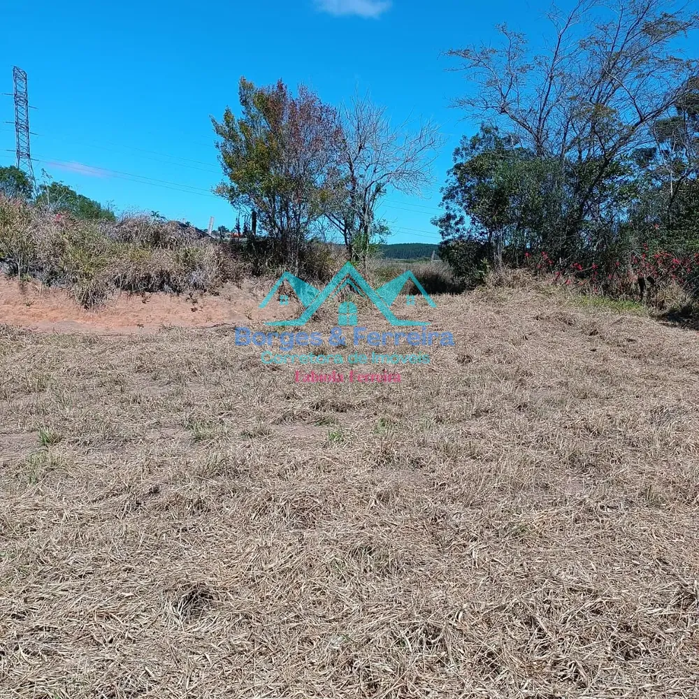 Terreno, 2500 m² - Foto 6