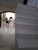 Sobrado, 5 quartos, 250 m² - Foto 3