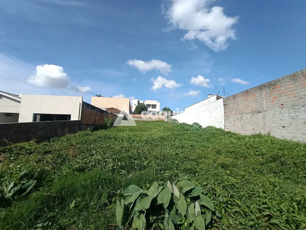 Terreno, 528 m² - Foto 3