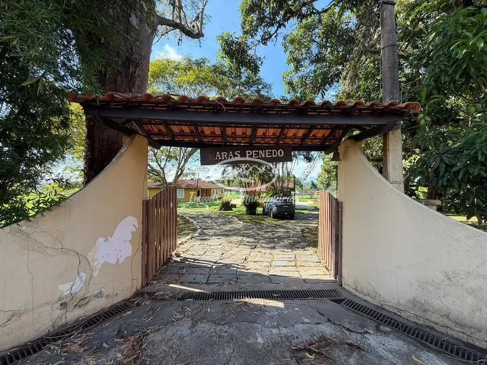 Sítio, 8 quartos, 3 hectares - Foto 3