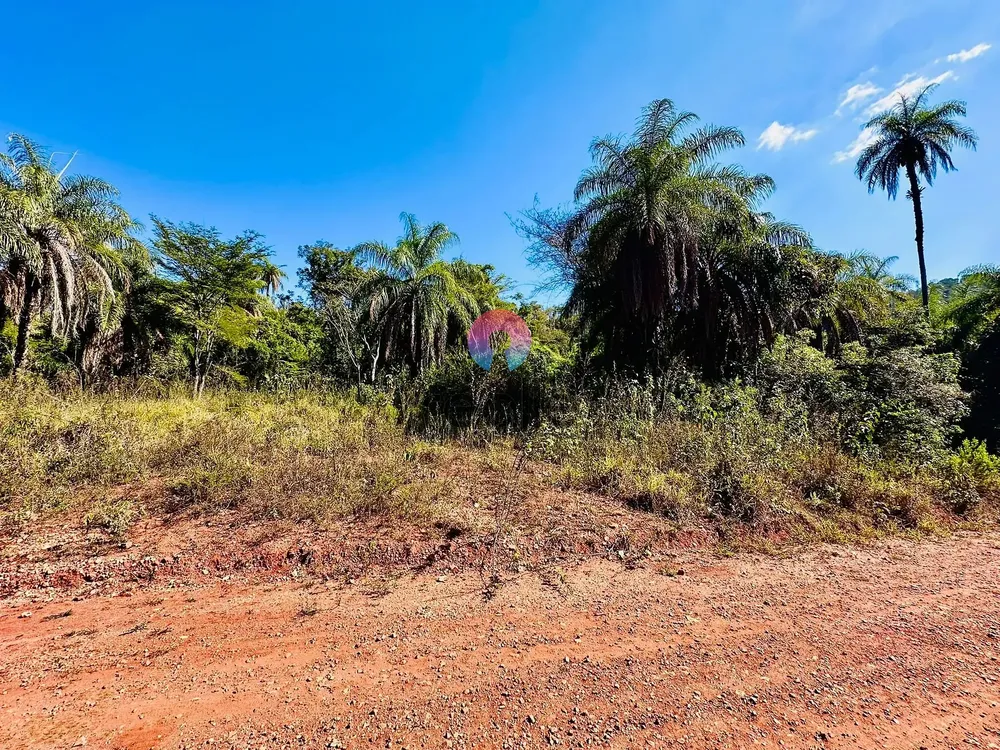 Terreno, 2 hectares - Foto 4
