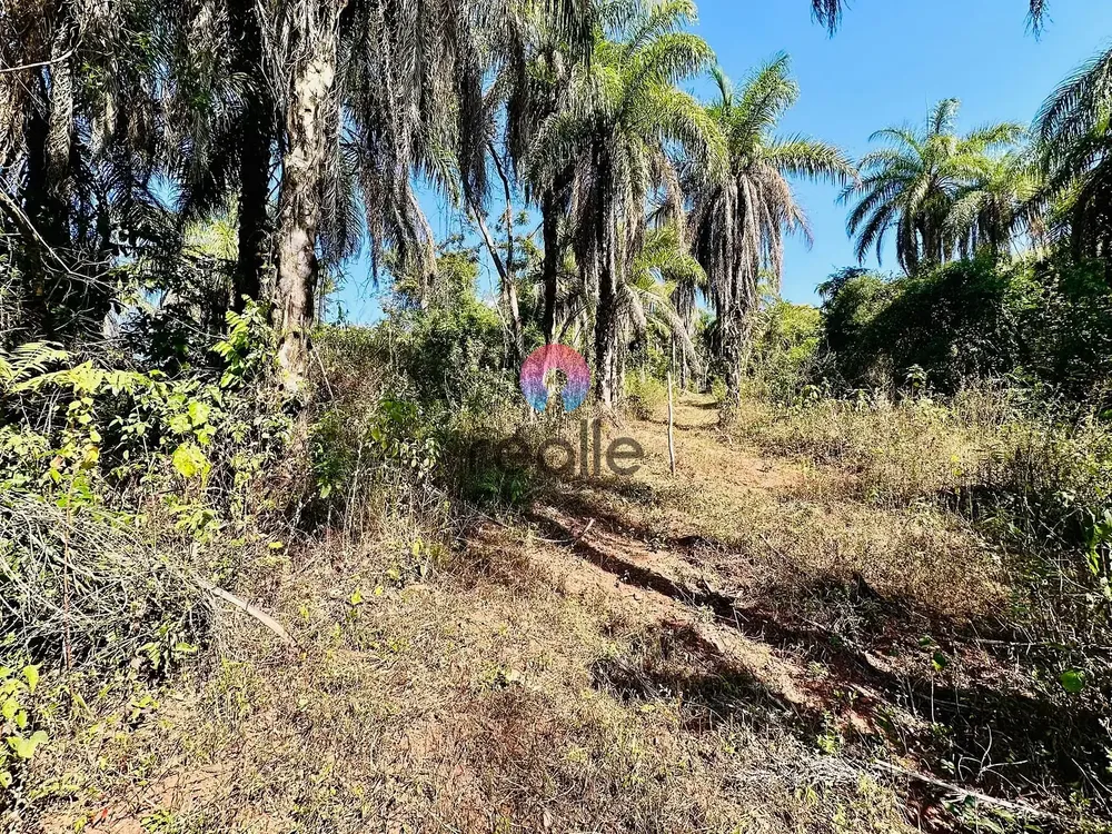 Terreno, 2 hectares - Foto 2