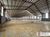 Depósito-Galpão, 4400 m² - Foto 3
