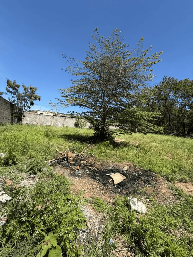 Terreno, 360 m² - Foto 1