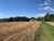 Terreno, 12 hectares - Foto 2