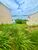 Terreno, 600 m² - Foto 3