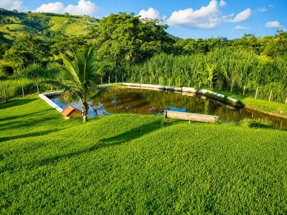 Sítio, 3 quartos, 5 hectares - Foto 8