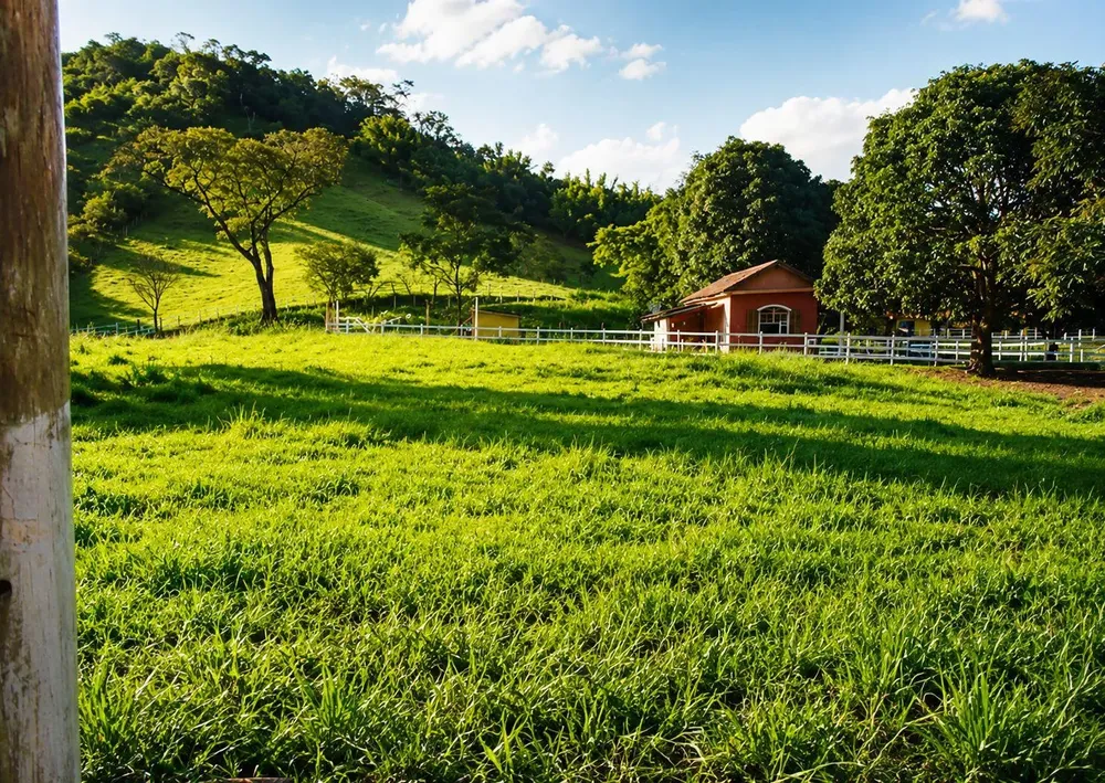 Sítio, 3 quartos, 5 hectares - Foto 7