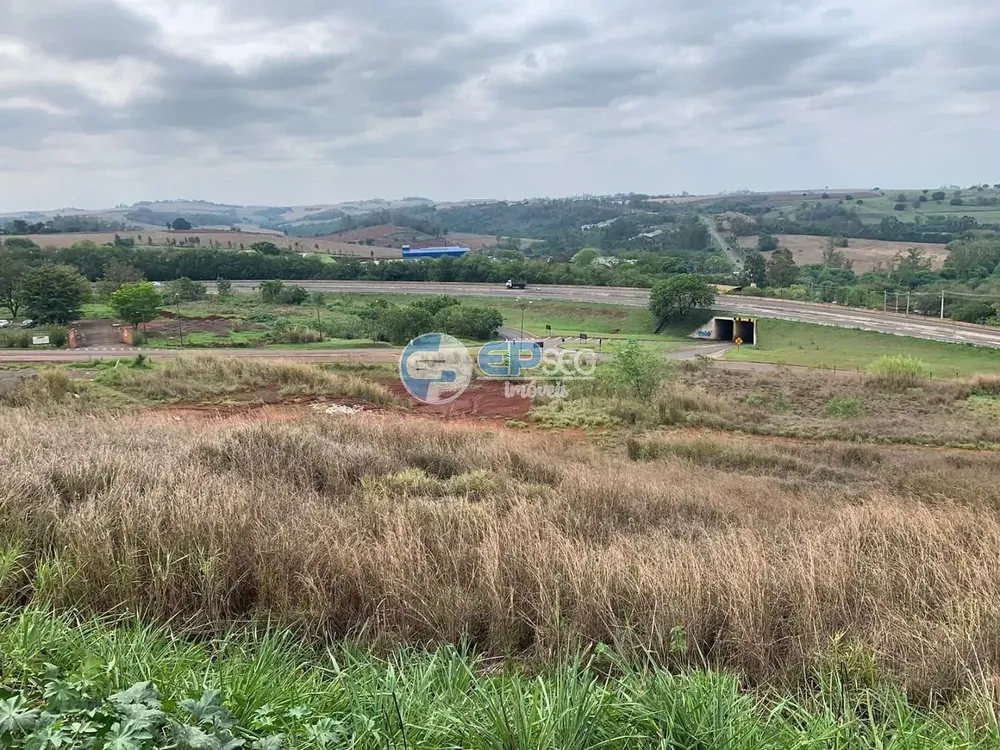 Terreno, 3 hectares - Foto 1