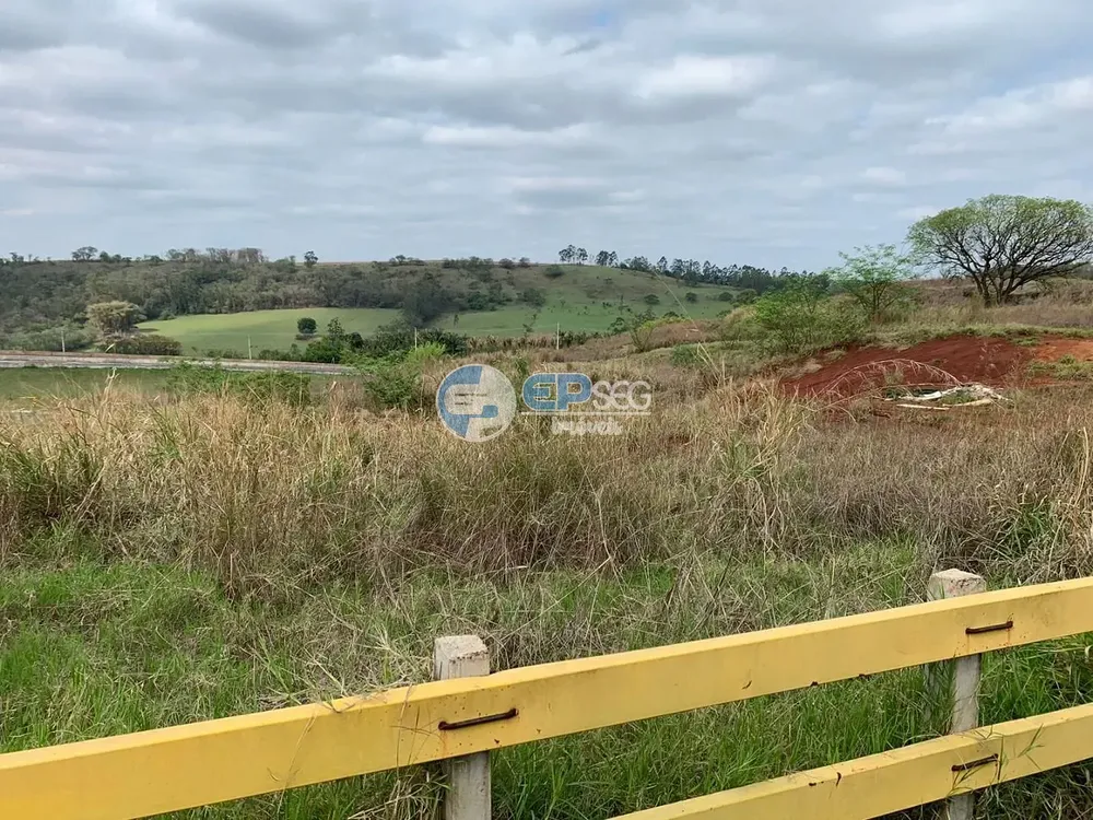 Terreno, 3 hectares - Foto 4