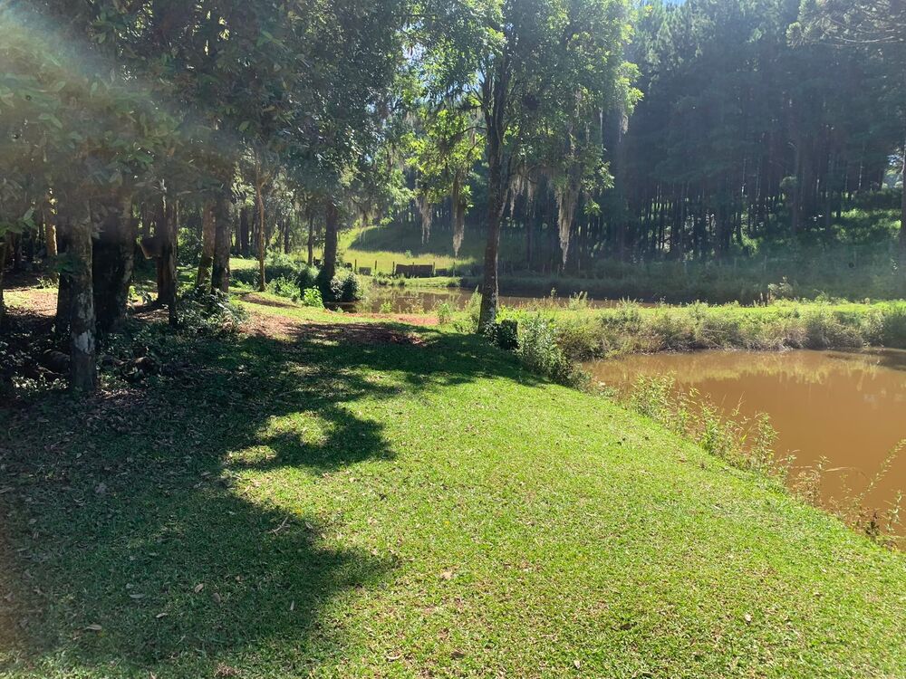 Terreno à venda, 11888m² - Foto 2
