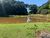 Terreno, 1 hectares - Foto 1