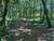 Terreno, 1 hectares - Foto 4