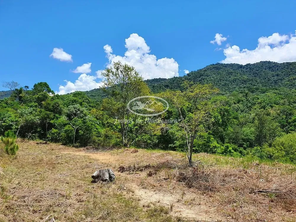 Terreno, 2 hectares - Foto 4