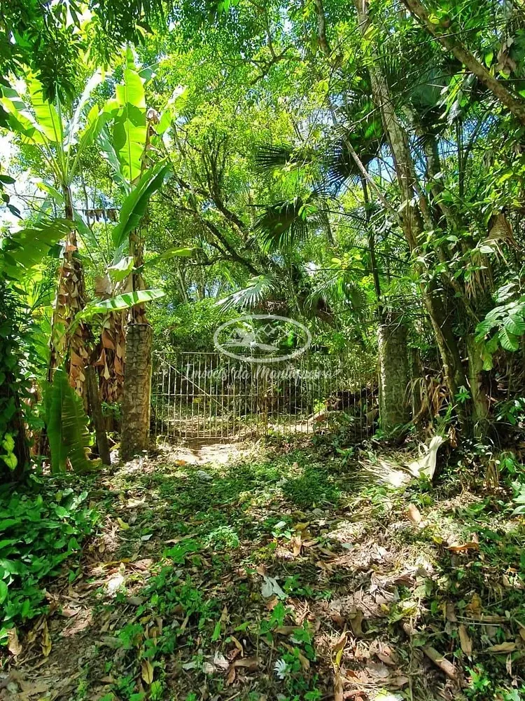 Terreno, 2 hectares - Foto 3