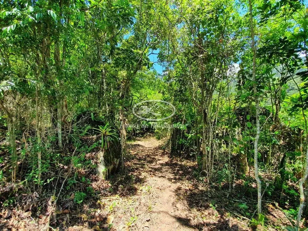 Terreno, 2 hectares - Foto 7