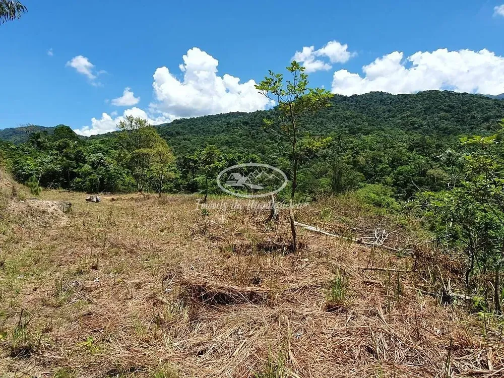 Terreno, 2 hectares - Foto 12