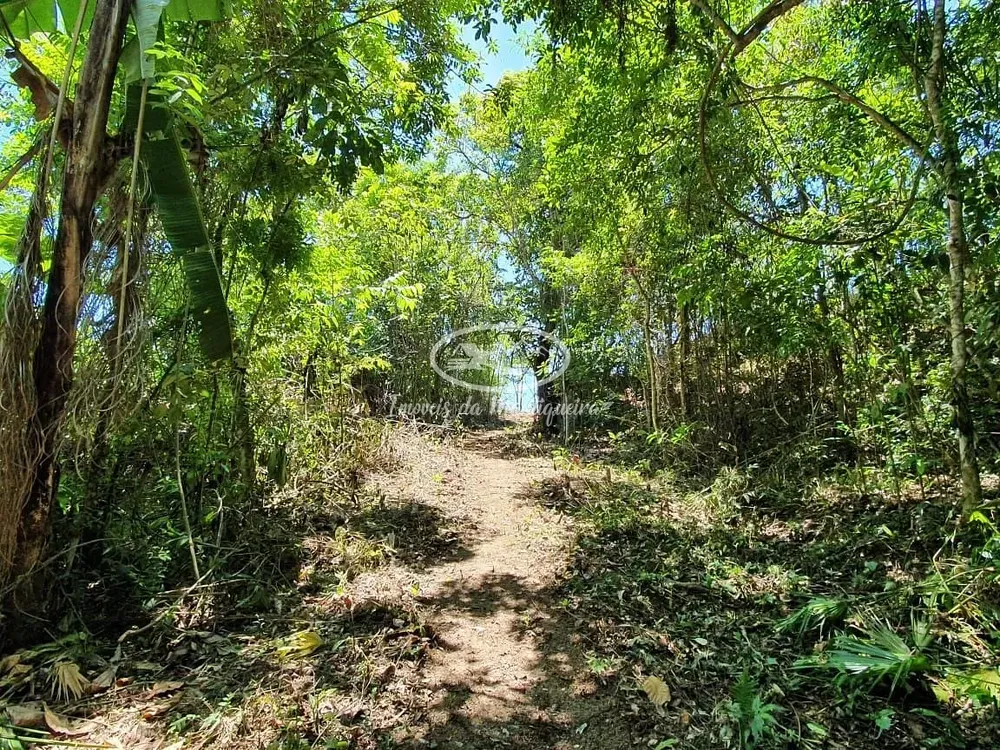 Terreno, 2 hectares - Foto 11