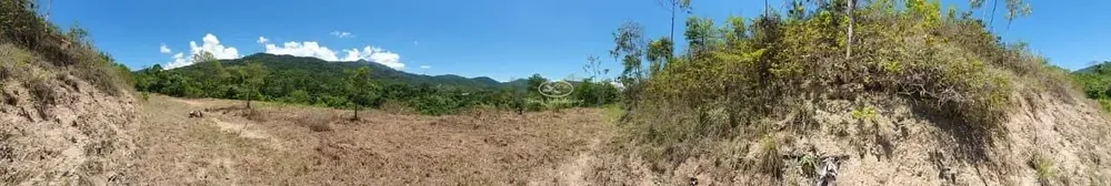 Terreno, 2 hectares - Foto 8