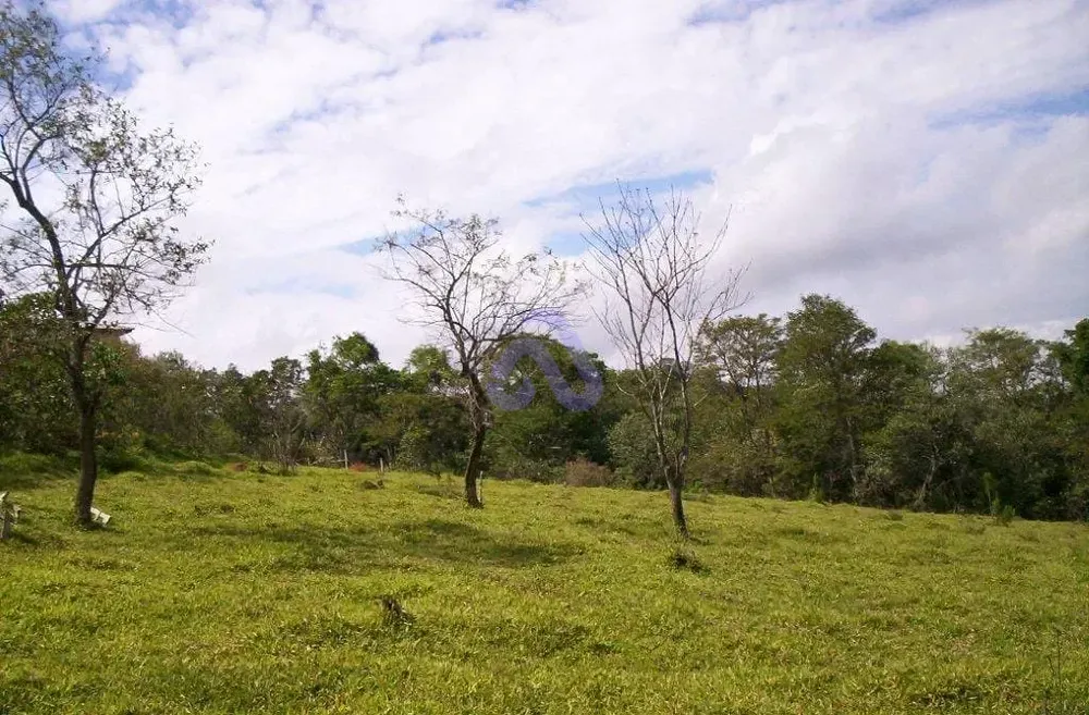 Terreno, 30 hectares - Foto 1