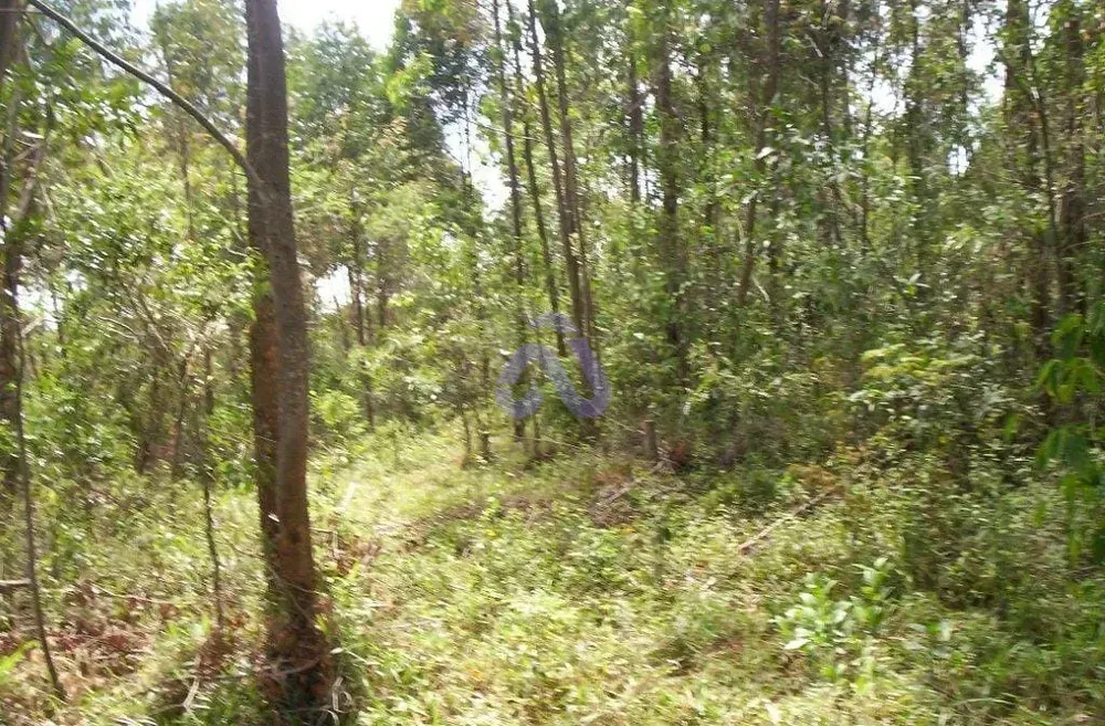 Terreno, 30 hectares - Foto 2
