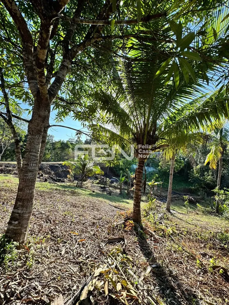 Terreno, 1250 m² - Foto 4