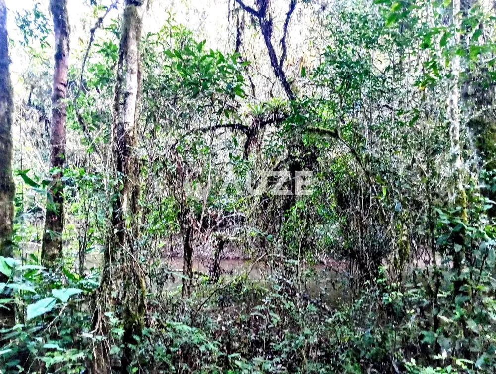 Chácara, 1 quarto, 2 hectares - Foto 8