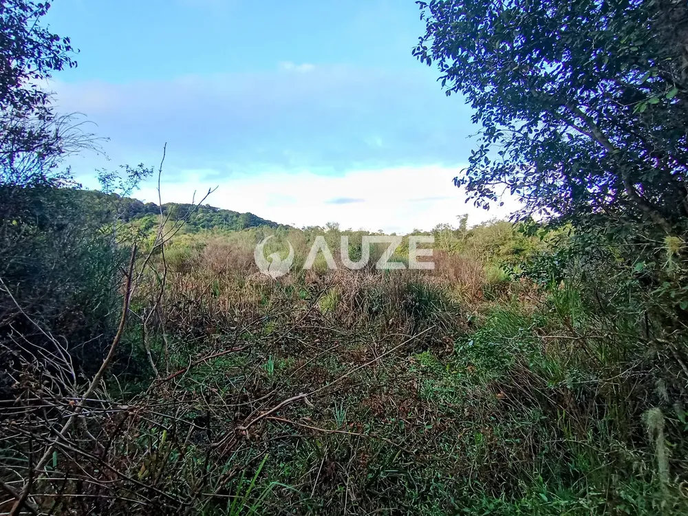 Chácara, 1 quarto, 2 hectares - Foto 1