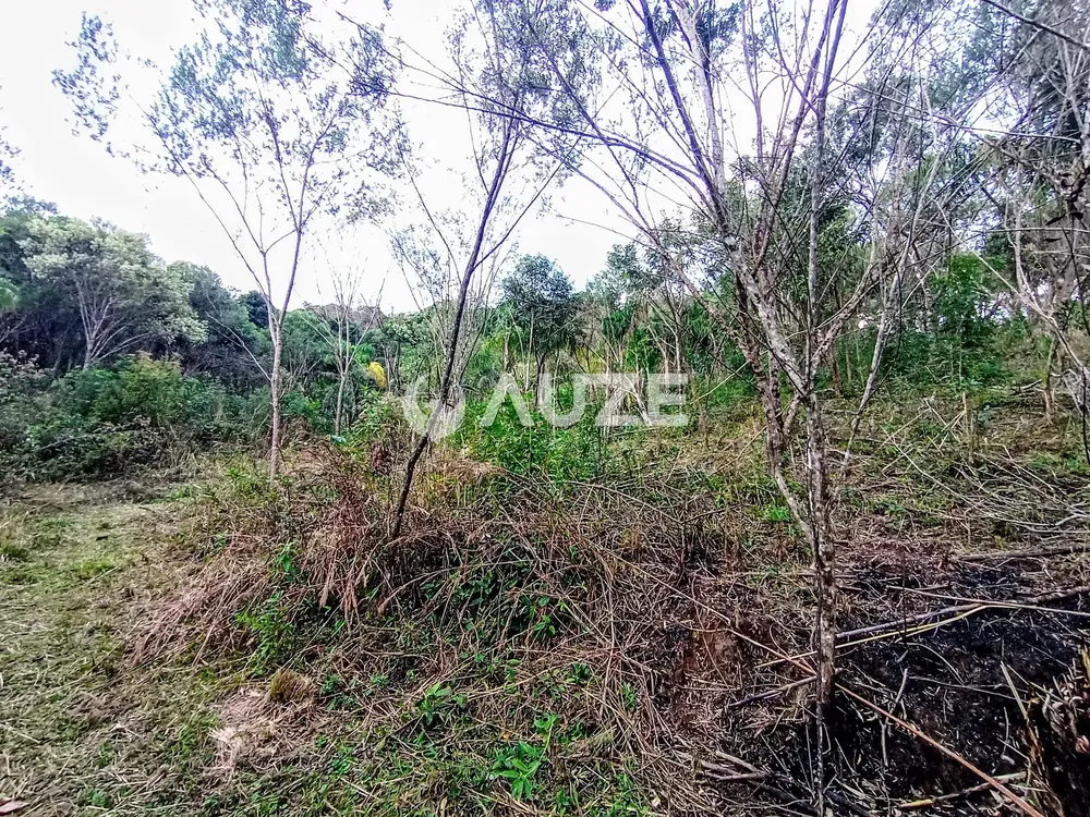 Chácara, 1 quarto, 2 hectares - Foto 2