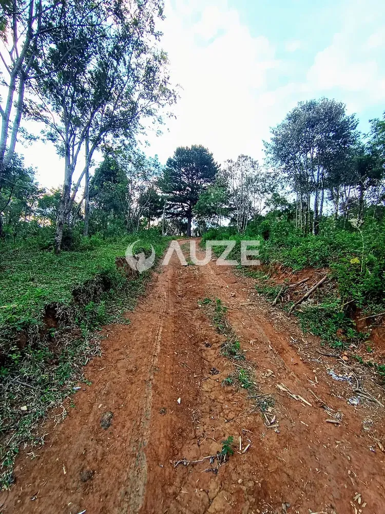 Chácara, 1 quarto, 2 hectares - Foto 4