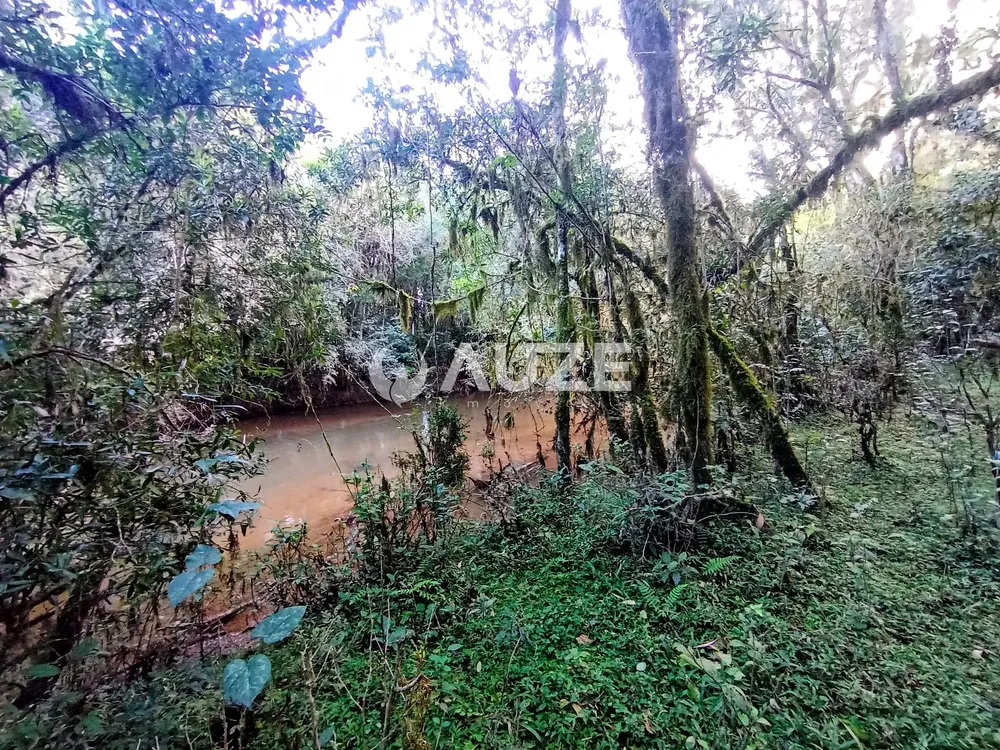 Chácara, 1 quarto, 2 hectares - Foto 7