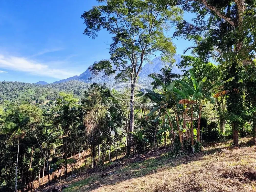 Terreno, 3060 m² - Foto 3